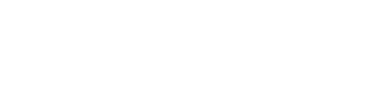 Delta |v| Logo